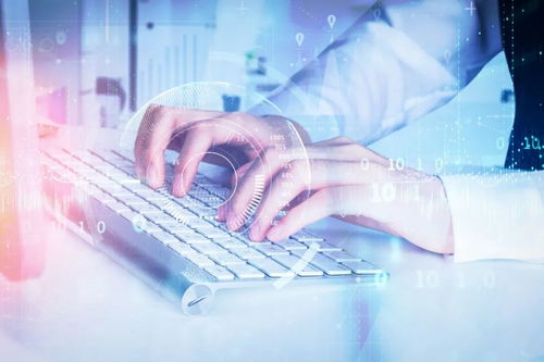 龍巖市 防控不松弦 招商不斷鏈 信息咨詢服務助發展